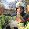 Brandweer redt gans Zutphen|Foto Errol Endeveld