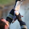 Brandweer redt meeuw|Foto Nicolaas Kerkmeijer/Fotobureau Kerkmeijer
