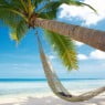 hangmat-aan-palmboom-op-tropisch-strand