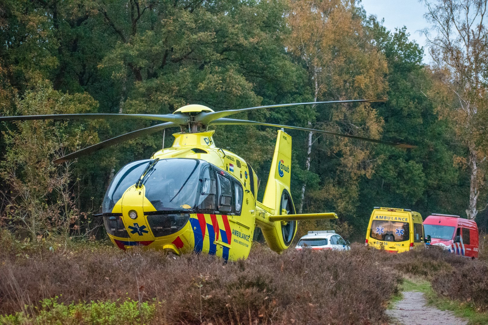 Wandelaar gewond na val op heide: traumahelikopter geland