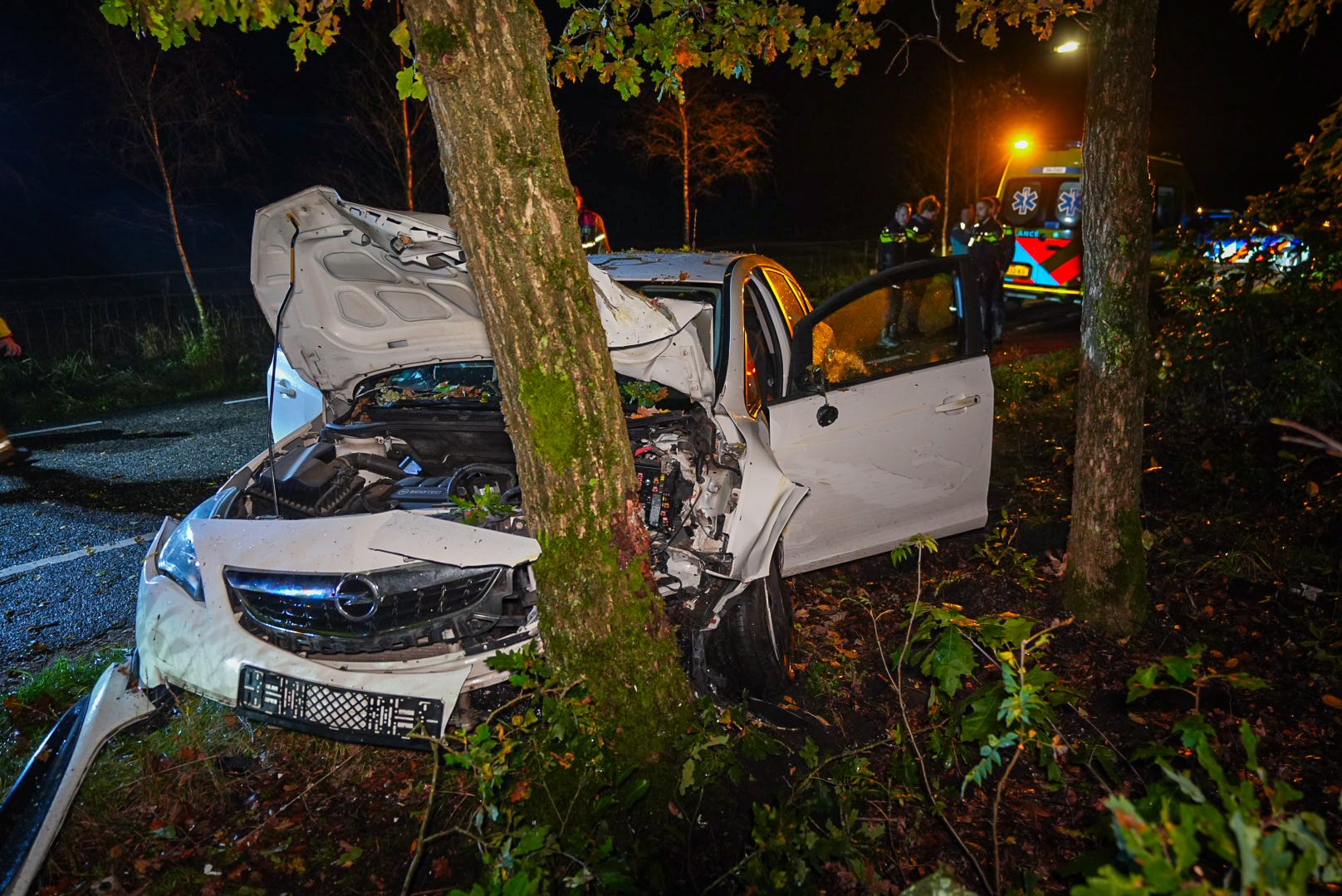 Automobilist botst tegen een boom bij Hoenderloo