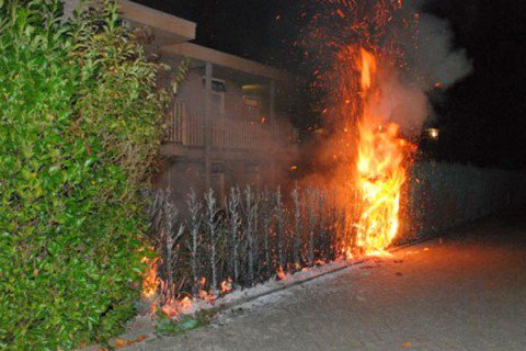 Coniferen in brand Eerbeek 2| Foto Sander de Vries