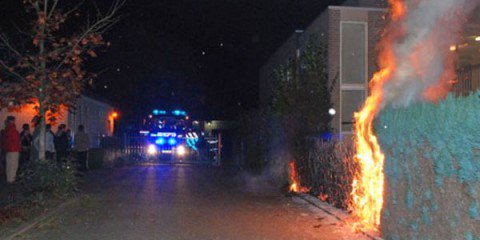 Coniferen in brand Eerbeek 1| Foto Sander de Vries