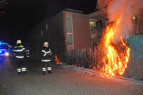 Coniferen in brand Eerbeek 3| Foto Sander de Vries