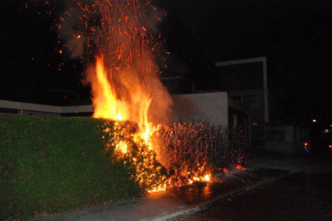 Coniferen in brand Eerbeek 2| Foto Sander de Vries