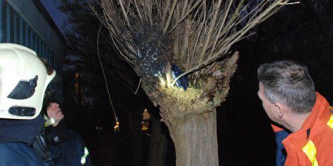 Pyromanen Eerbeek slaan weer toe|Foto Sander de Vries