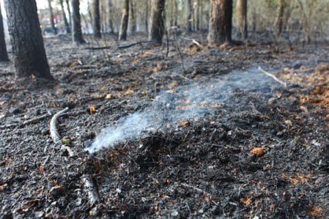 FOTO FOTOBUREAU KERKMEIJER/NICOLAAS KERKMEIJER