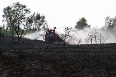 Foto Nicolaas Kerkmeijer