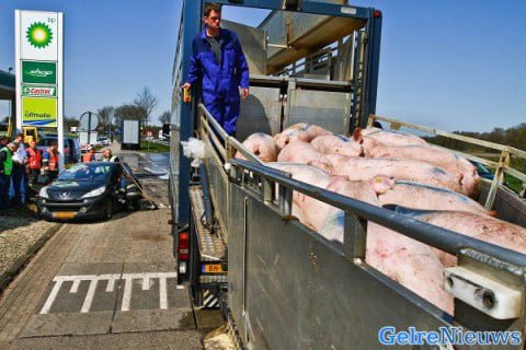 foto Nicolaas Kerkmeijer/Fotobureau Kerkmeijer