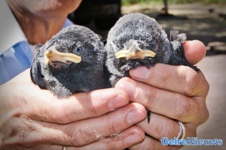 foto 112Achterhoek-Nieuws.nl