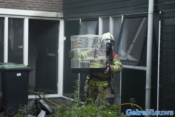 foto: Roland Heitink