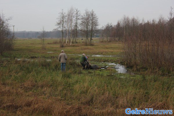 foto: Martin Heitink