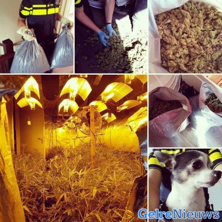 foto: Politie Brummen