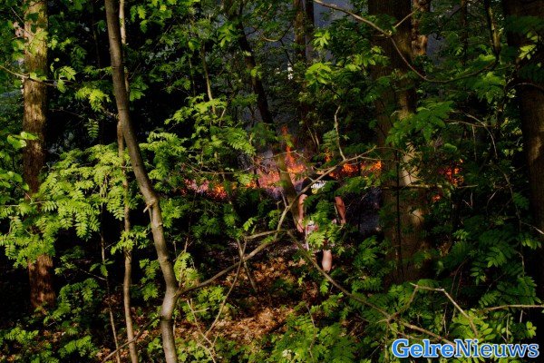 foto: Martin Heitink