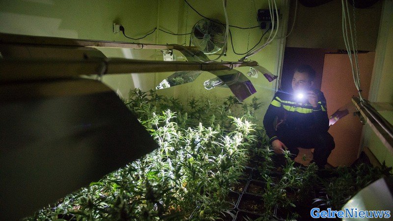 Meer dan 4000 hennepstekken in woning Zevenaar