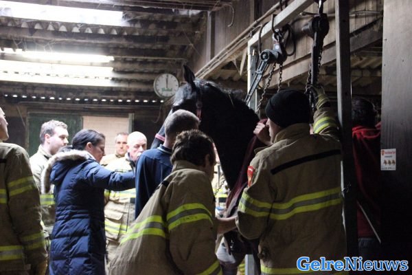 foto: Jean-Marc Regelink