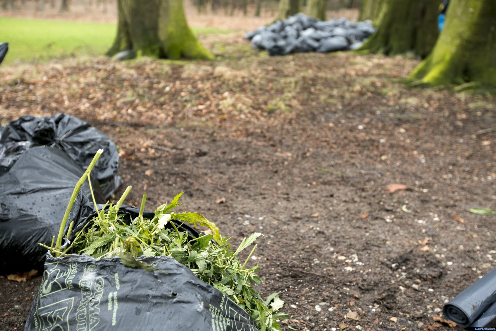 Marechaussee pakt Zwitser op bij Babberich met 15 kilo hennep in auto