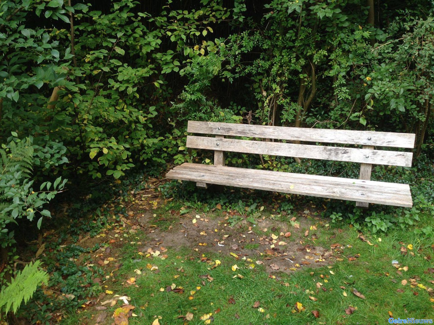 Kat dood door klem in park: ‘Klemmen gevaarlijk voor dieren en kinderen’