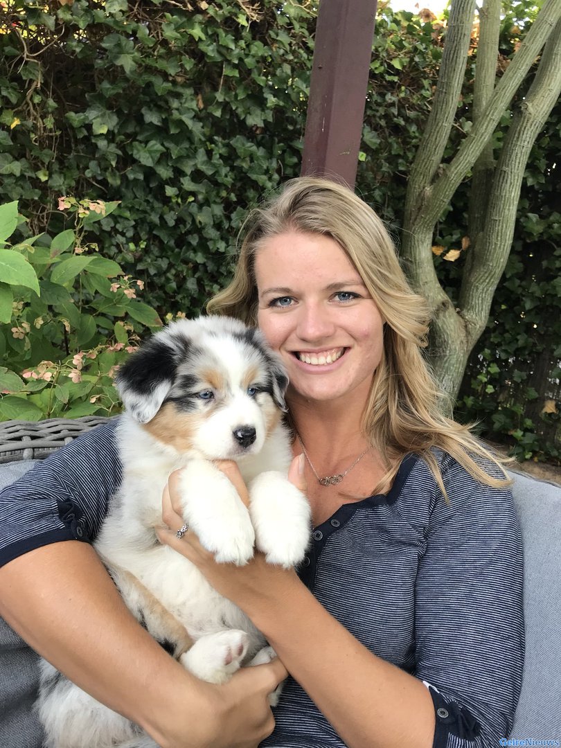 Hond van Dafne Schippers overleden na aanrijding met trein