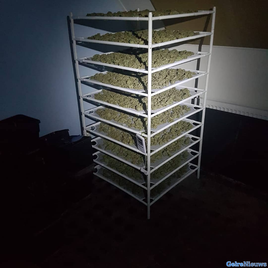 Ruim 14 kilo geoogste henneptoppen aangetroffen in woning