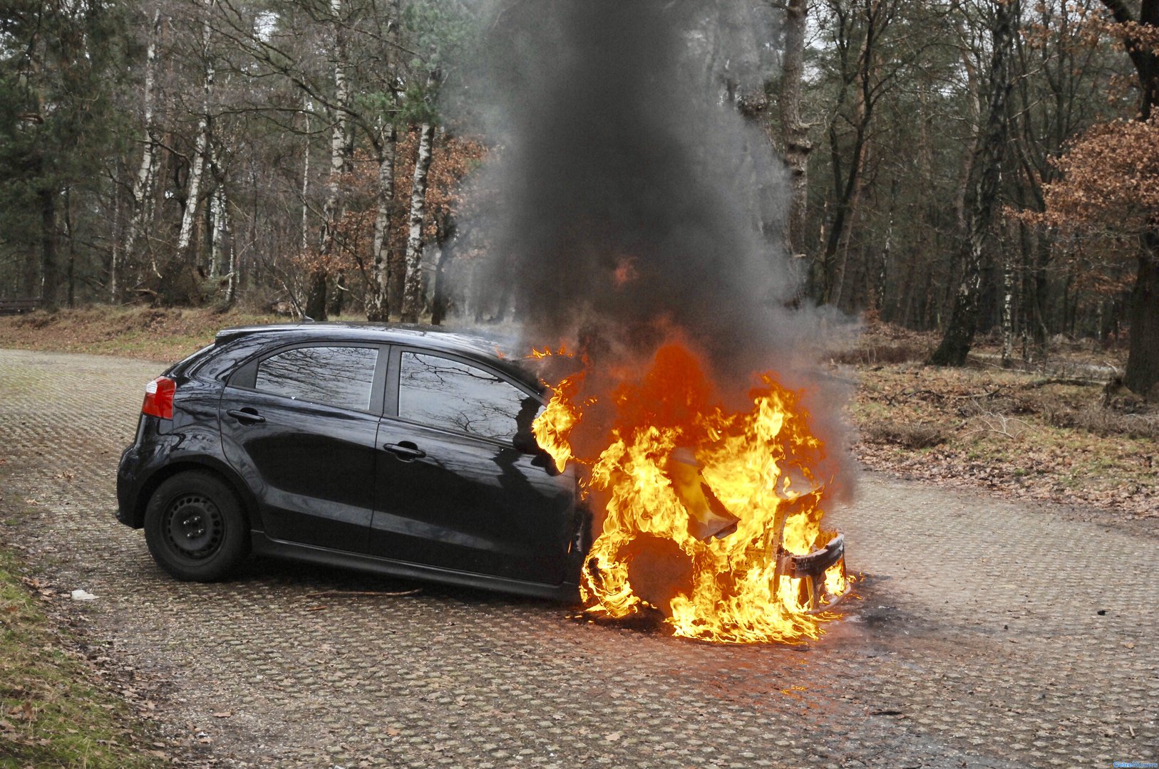Auto vliegt in de brand op de Posbank bij Rheden