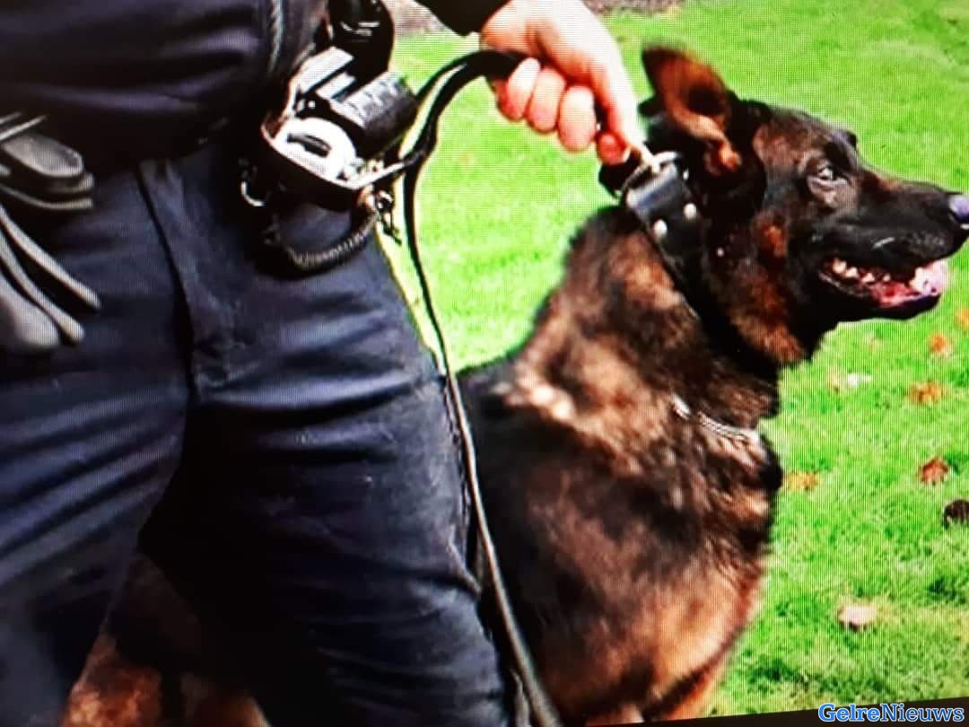 Twee inbrekers aangehouden met hulp van politiehond