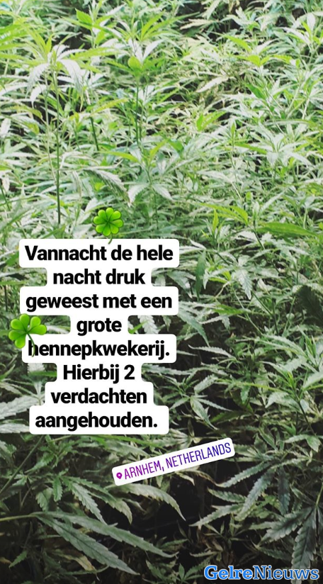 Politie vindt grote hennepkwekerij in binnenstad na een melding