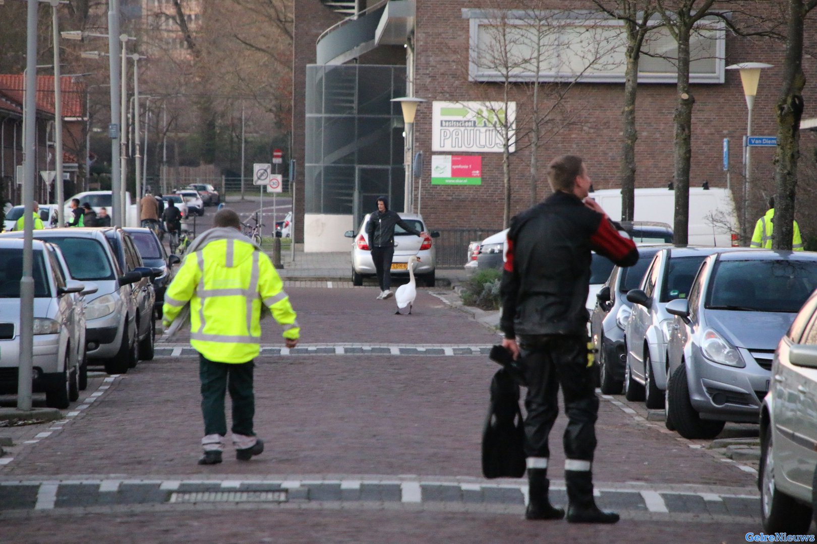 Hulpdiensten druk in de weer met zwaan in nood