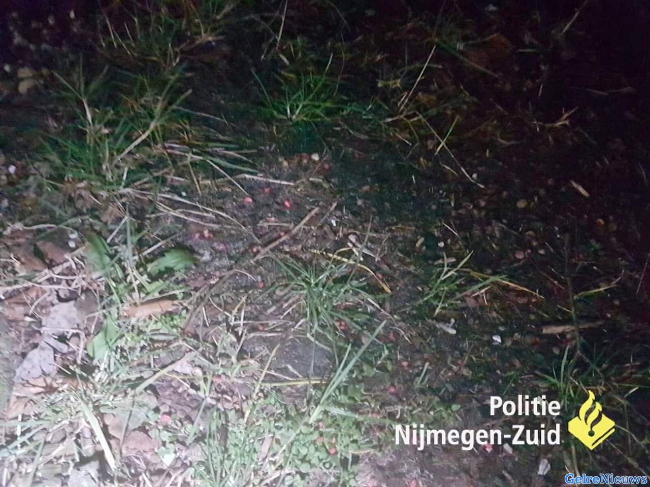 Hond mogelijk vergiftigd door rattengif in Nijmegen