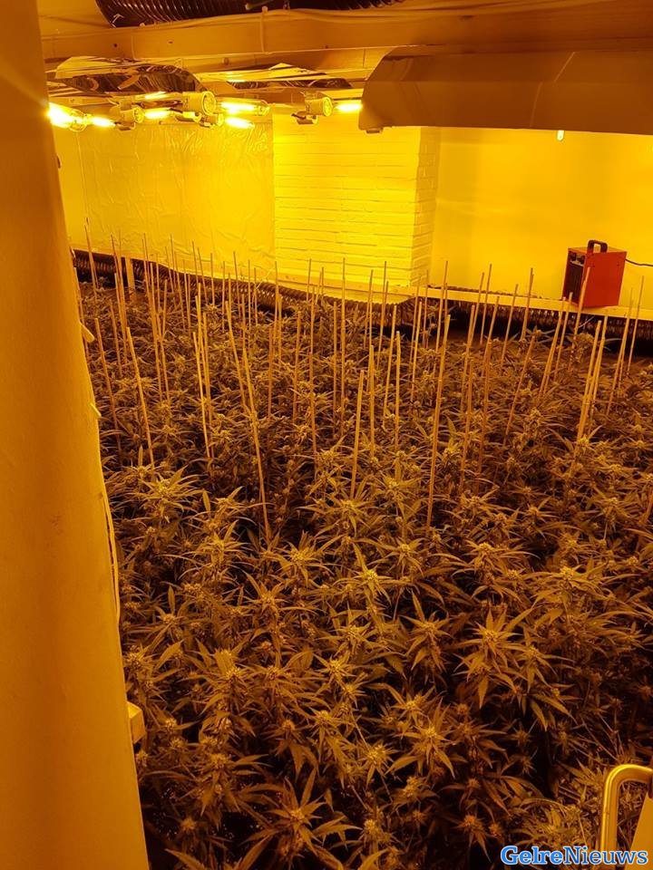 “Anonieme snitch” meldt hennepkwekerij bij politie Dieren