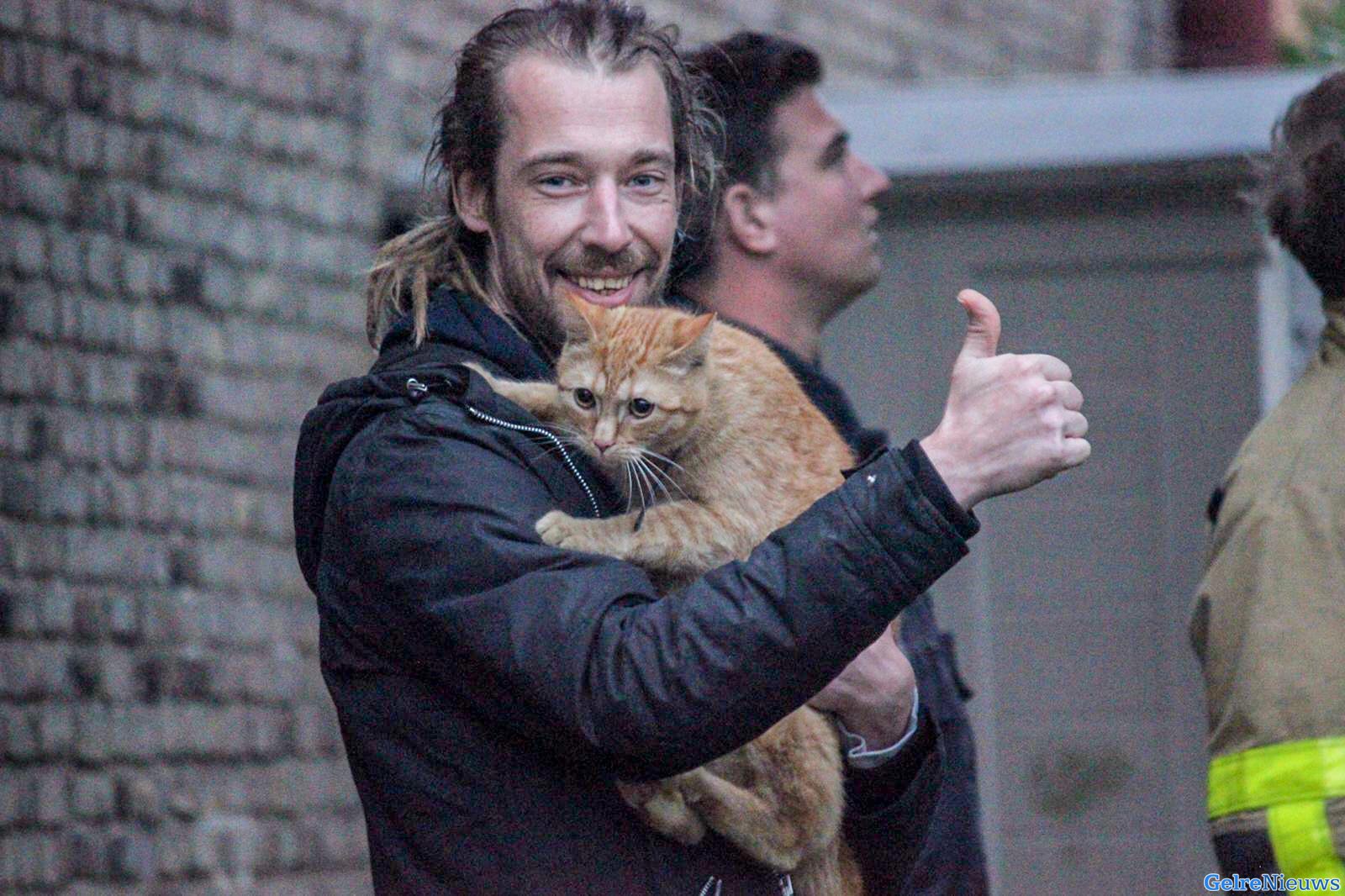 Kat Ollie na dagen door brandweer uit boom gehaald in Eerbeek