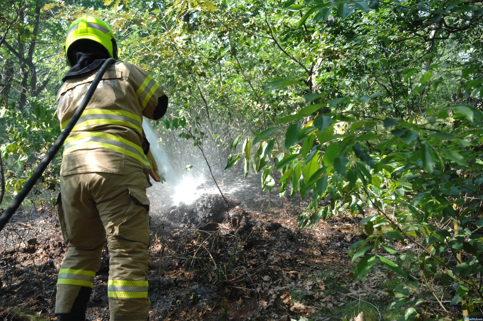 Bermbrand langs A12 vermoedelijk aangestoken