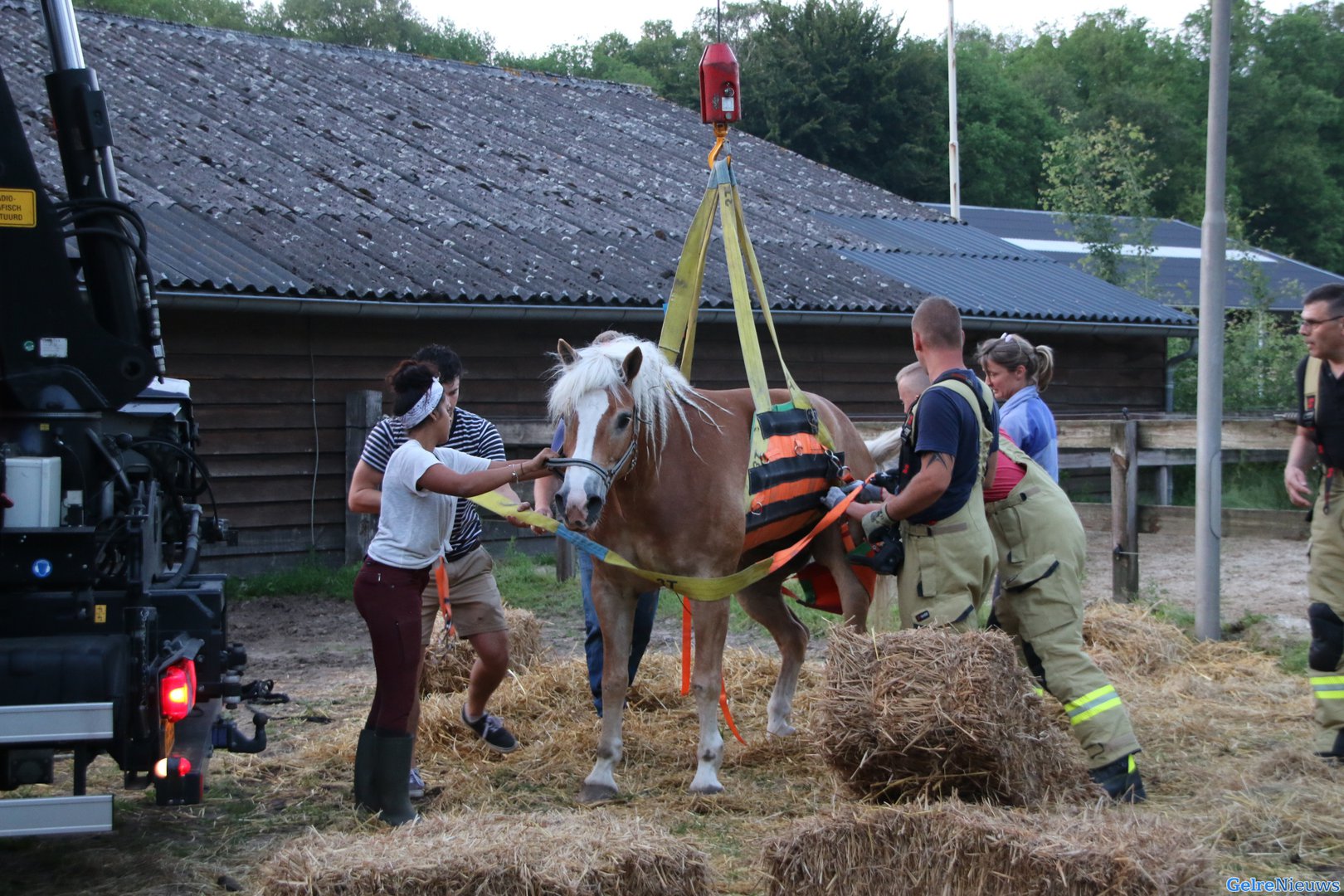 Paard in nood: brandweer en dierenarts proberen paard te redden