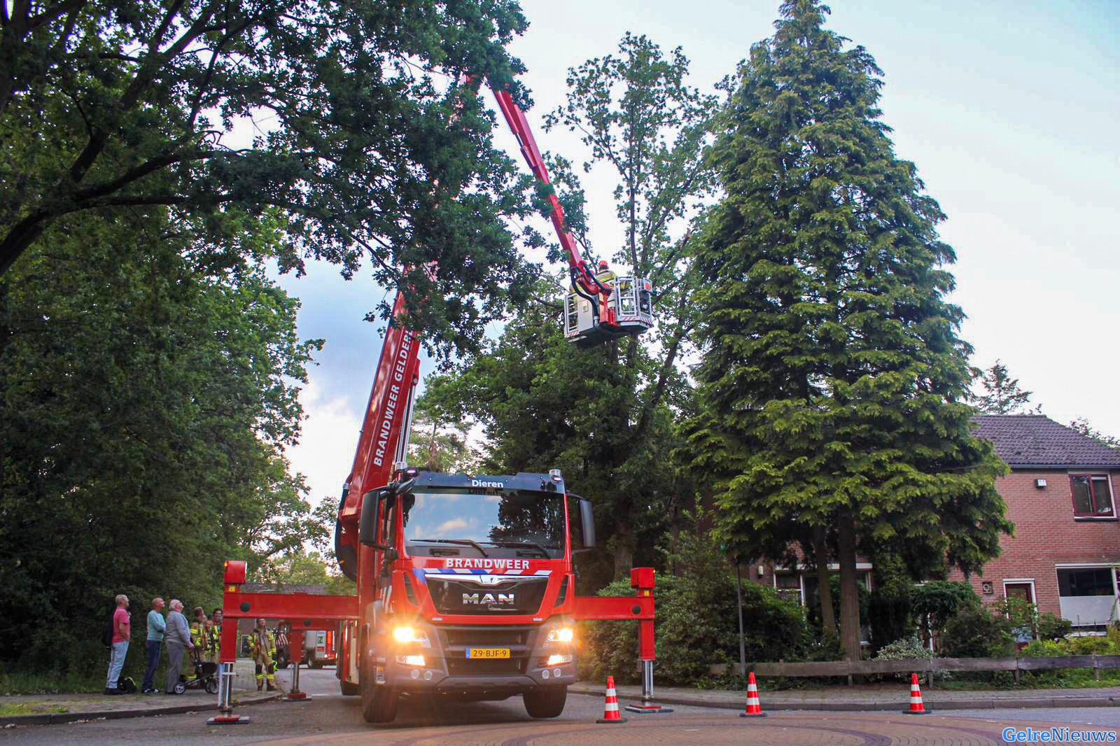 Loshangende tak door brandweer weggezaagd