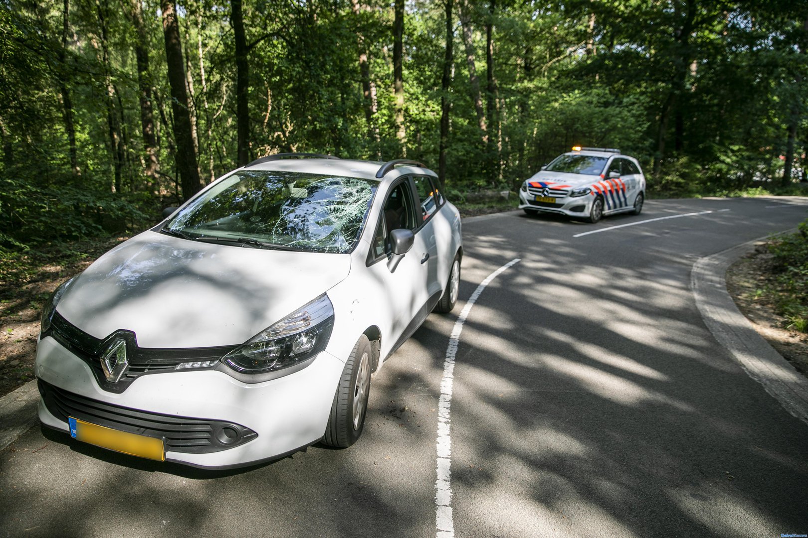 Wielrenner botst op auto in het bos bij Velp