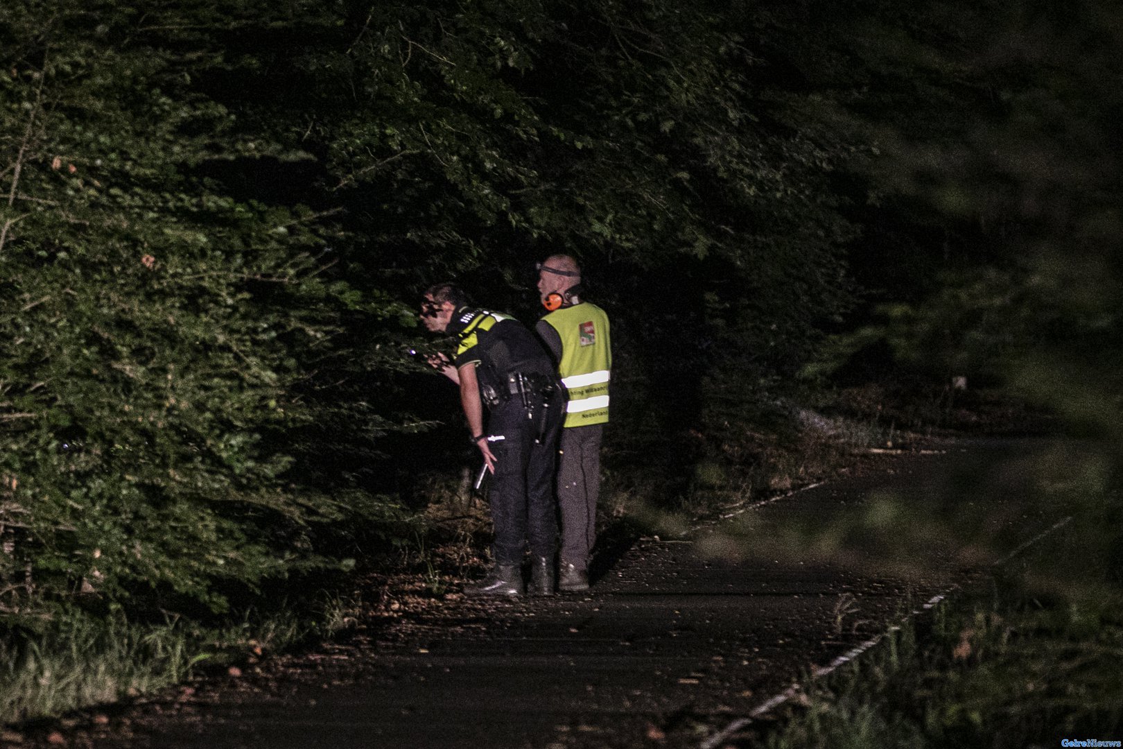 Nachtelijke zoekactie naar stier langs de N224 bij Ede