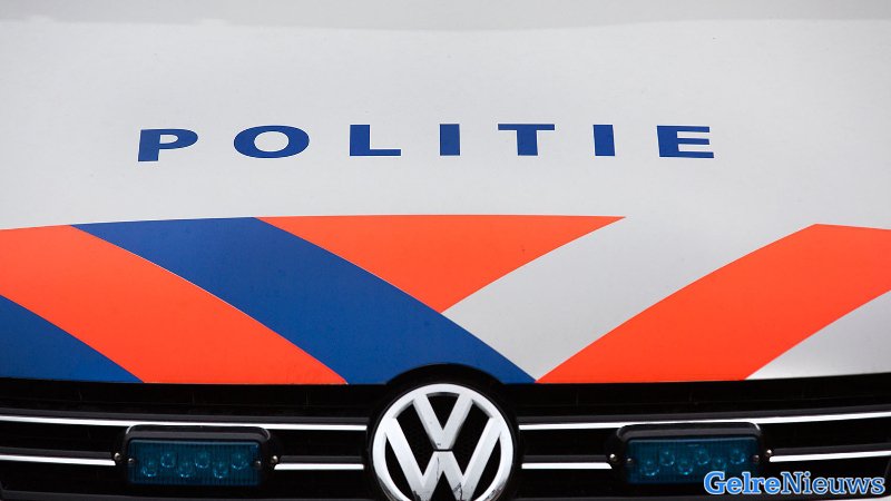 Losgebroken stier in Westendorp: ‘Hij is echt gevaarlijk’