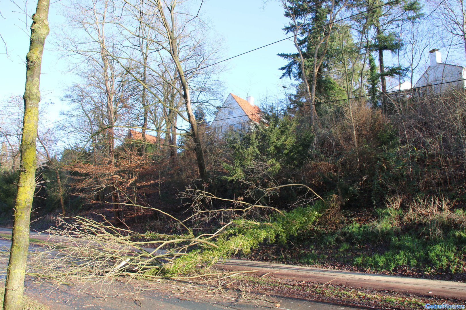 Boom breekt af en valt op trolleylijn