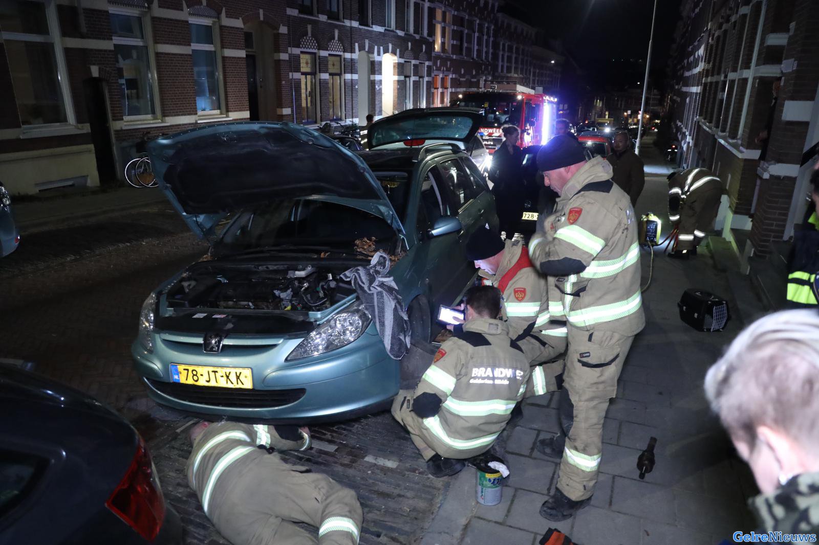 Zwaargewonde kat na ruim een uur bevrijd