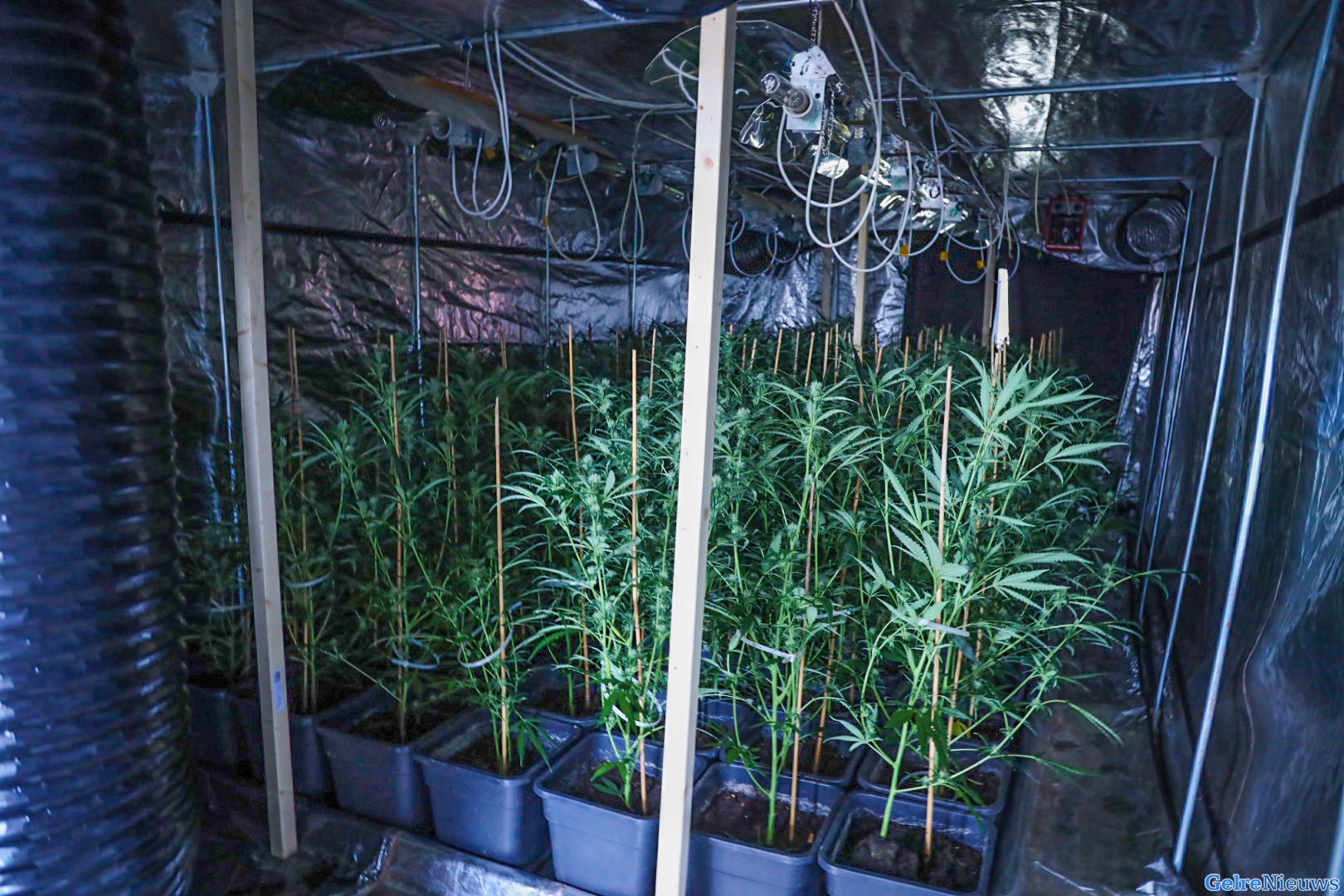 ‘Geen contact met bewoner mogelijk’: politie vindt hennepkwekerij