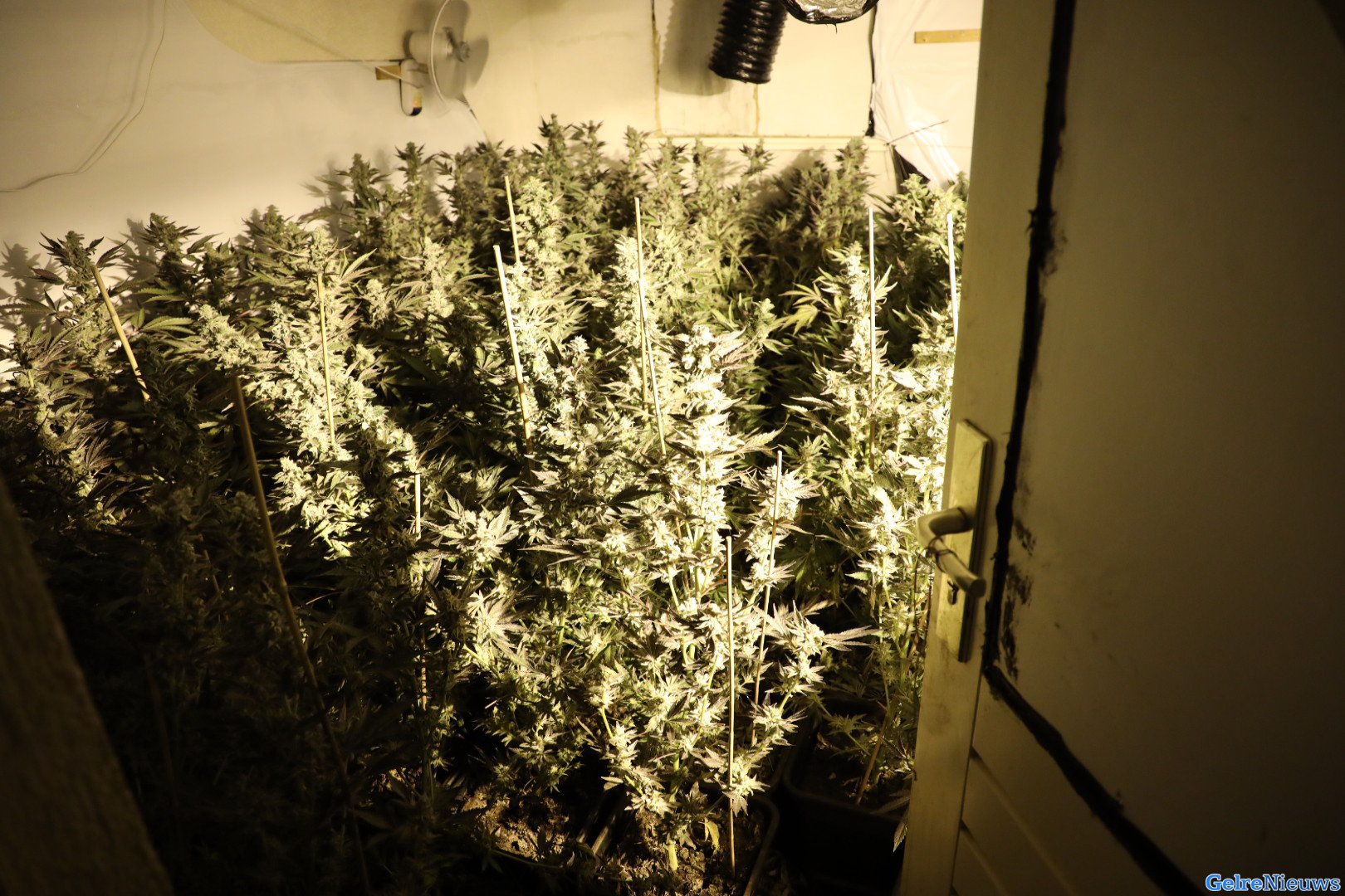 Agenten treffen hennepkwekerij aan na gaslek