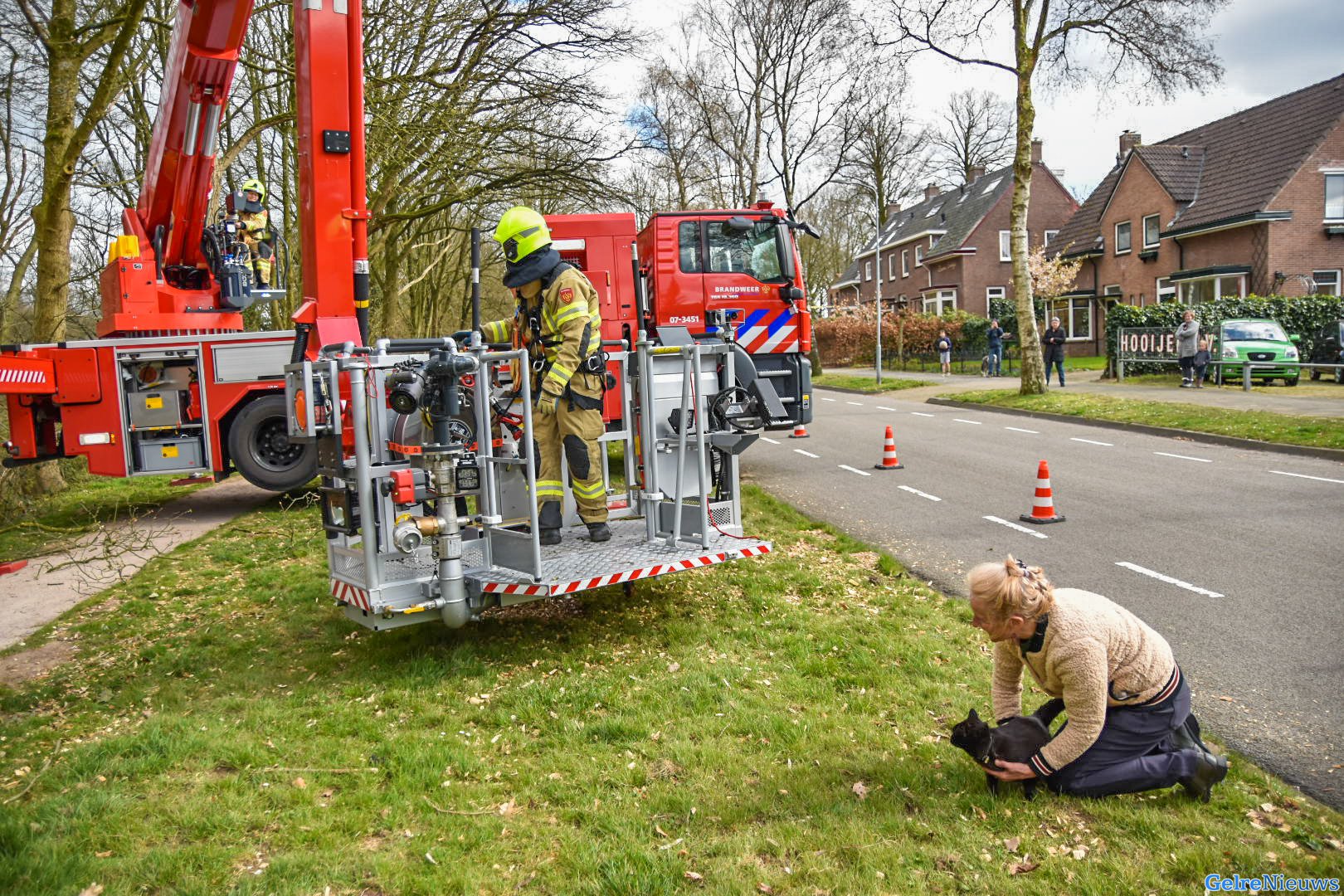 Kat gered uit boom boven spoorlijn in Oosterbeek