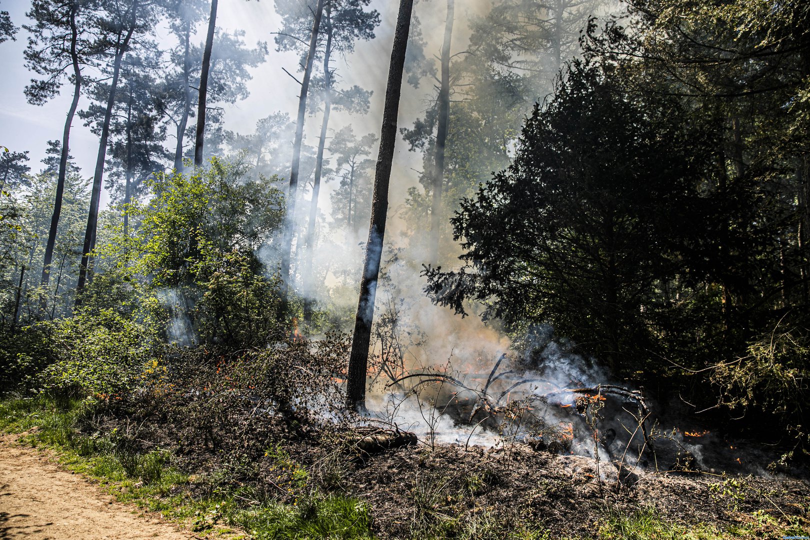 Verdachte aangehouden na bosbrand Rozendaal