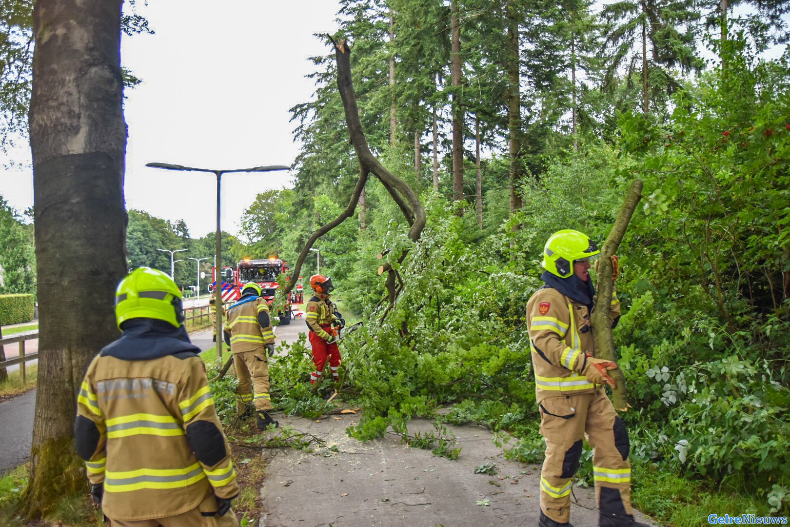 Grote tak valt 100 meter voor fietsende vrouw