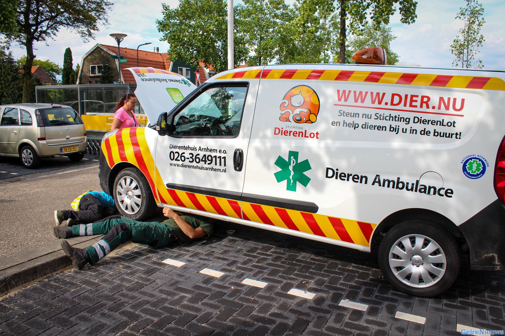 Kitten klimt onder vier motorkappen, waaronder van dierenambulance