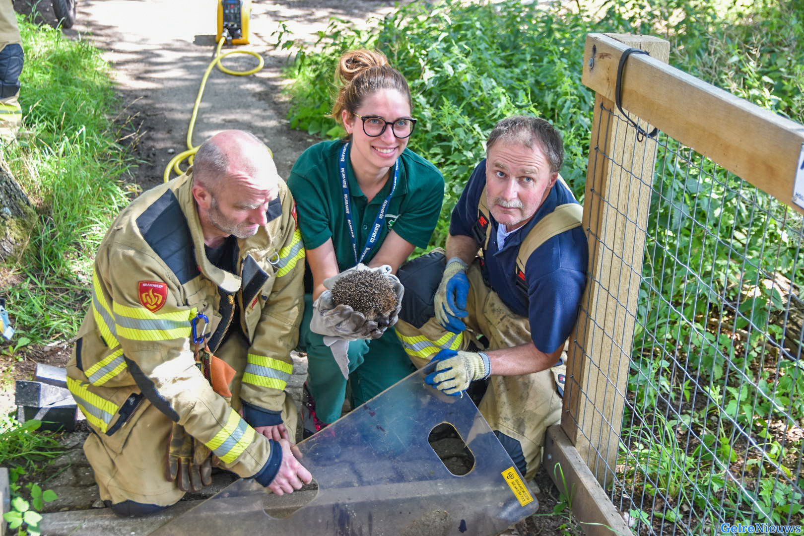Egel bevrijdt uit wildrooster na reddingsactie brandweer en dierenambulance