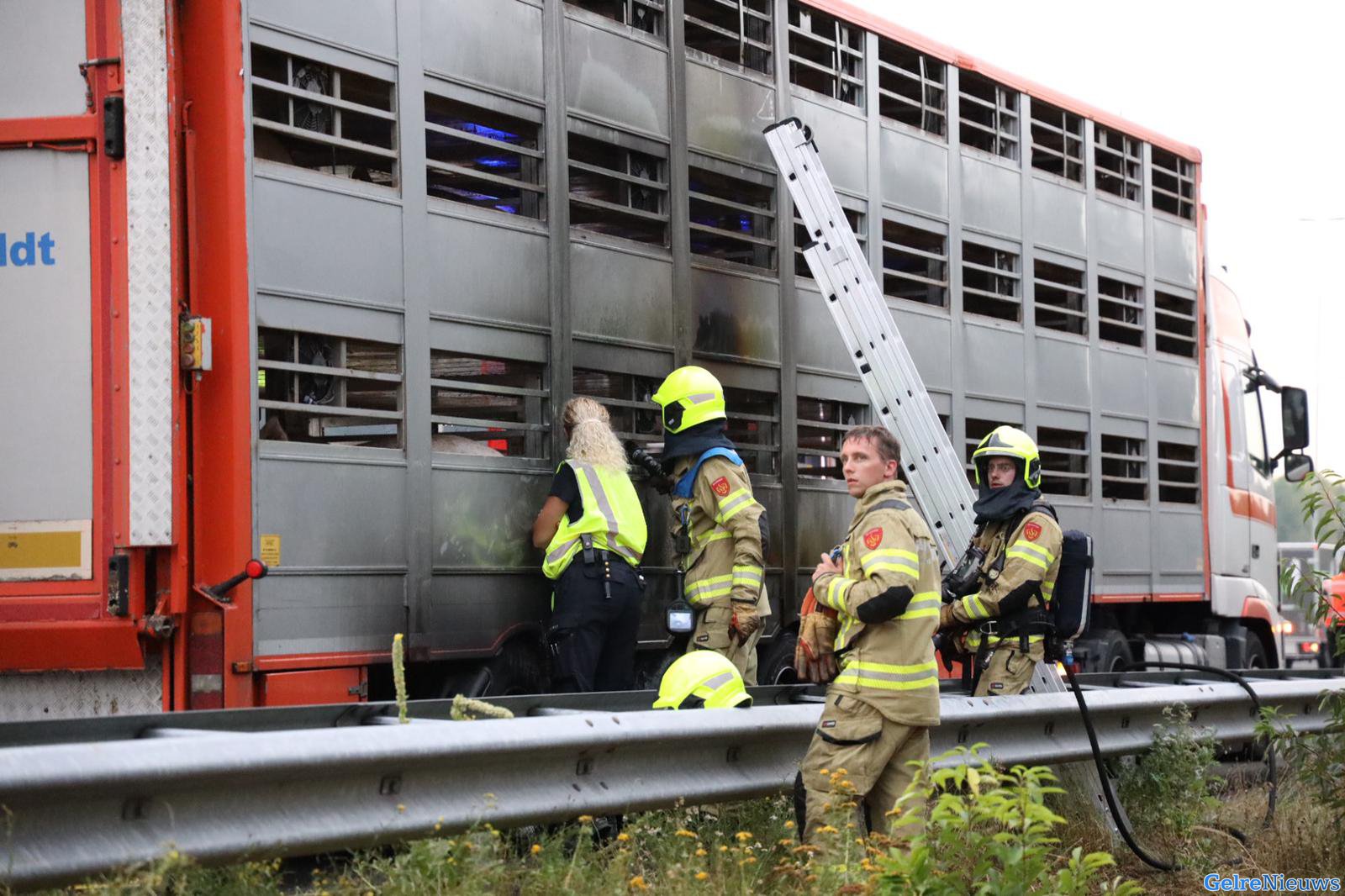 Tiental varkens overleden na brand in vrachtwagen op A50