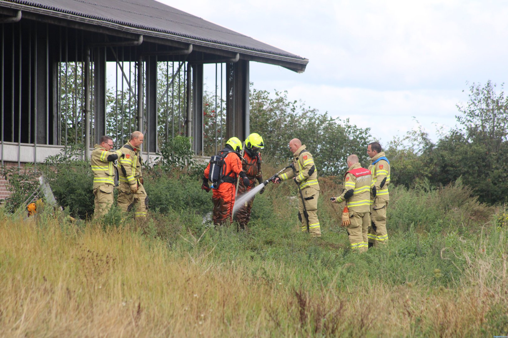 Kalfje van twee dagen oud in put gevallen bij boerderij in Doesburg