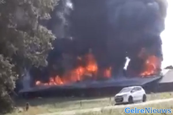 Grote brand in Beltrum, 14.000 kippen omgekomen