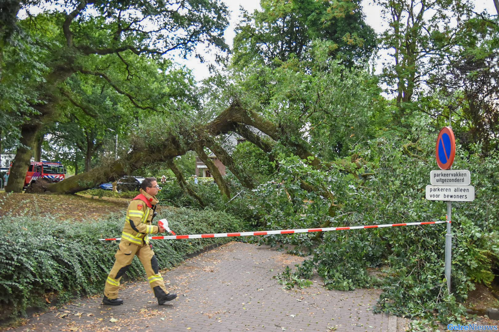 Grote boom valt om in Oosterbeek